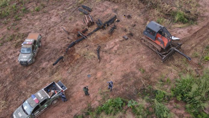 Marcelândia: Batalhão Ambiental flagra desmatamento ilegal em área embargada
