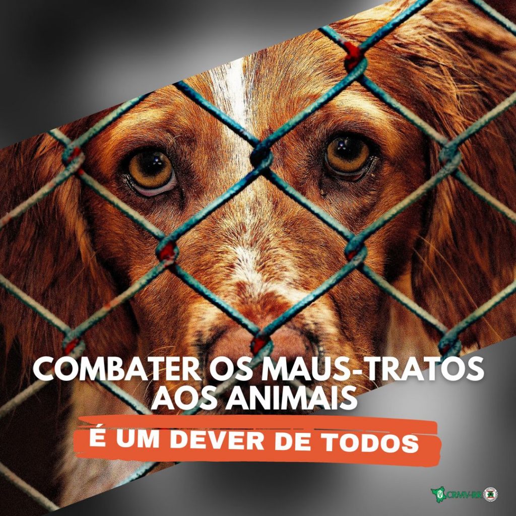Colíder Intensifica Proteção Animal com Nova Lei