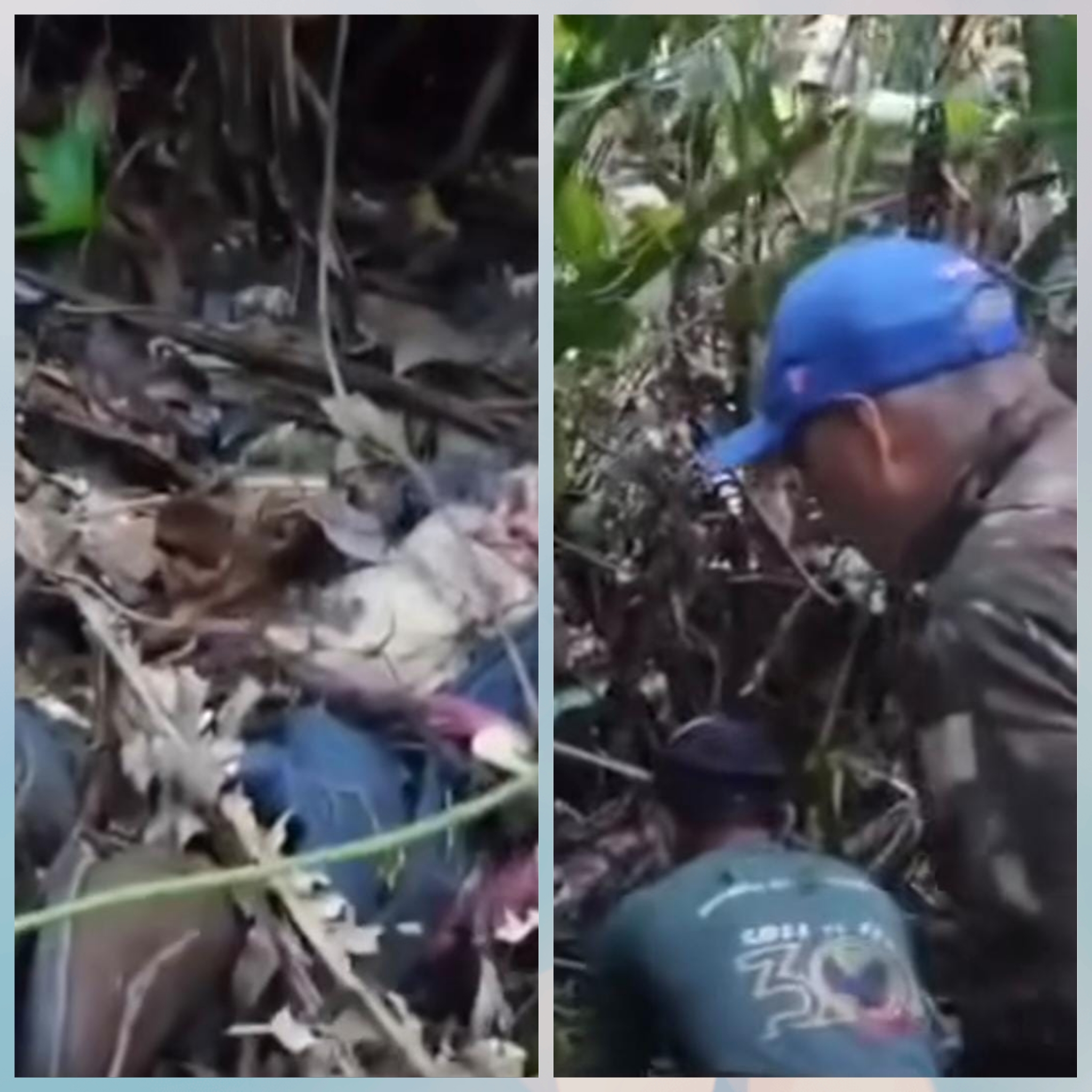 Restos mortais de caseiro são encontrados após ataque de onça no Pantanal