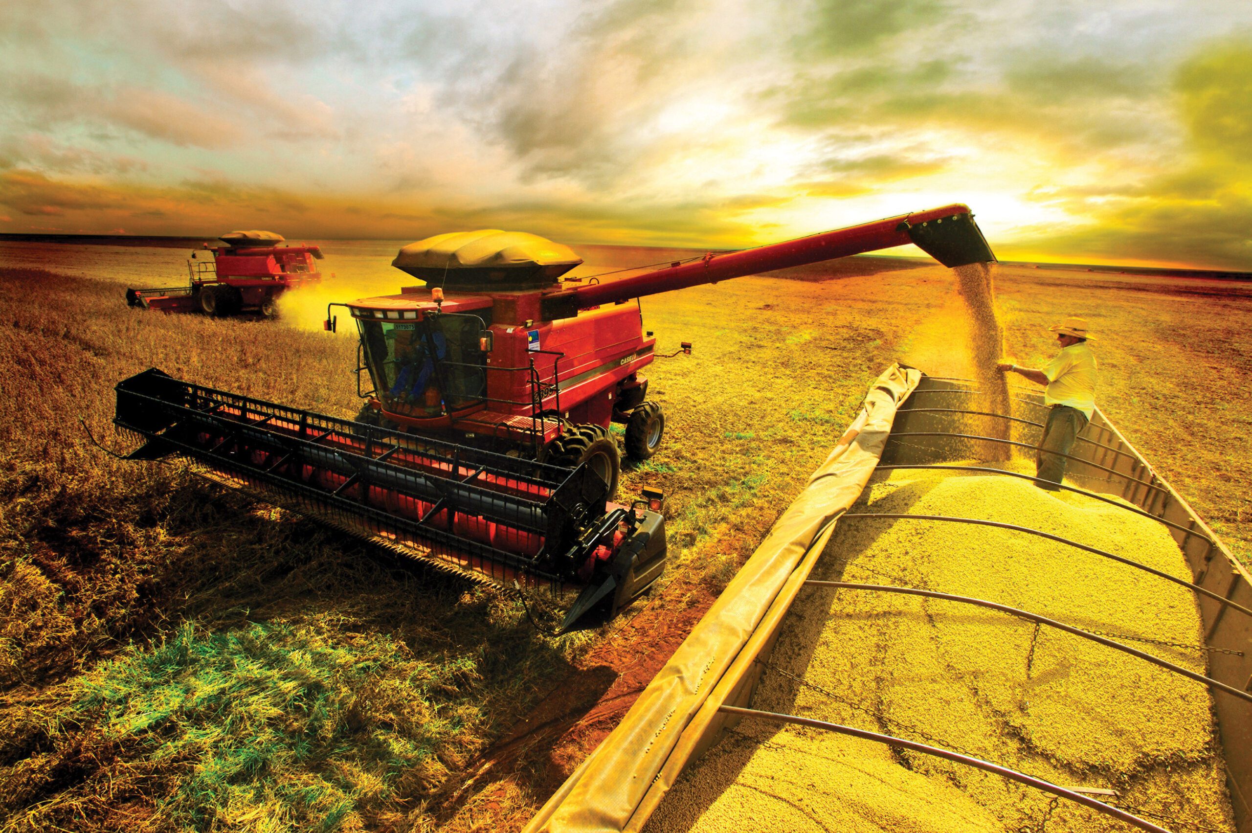 Mato Grosso se consolida como gigante do agro e mira novo recorde de safra em 2025