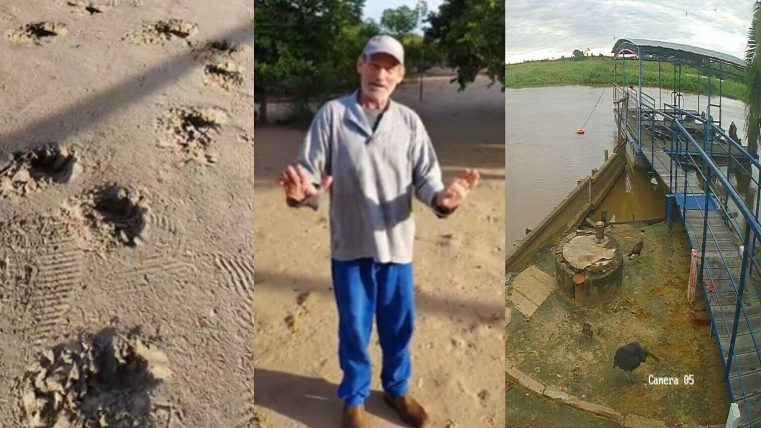 Onça-pintada ataca e mata caseiro no Pantanal: autoridades investigam o caso