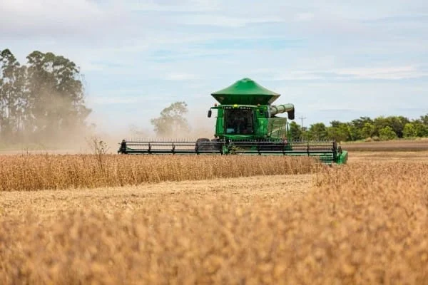 Mato Grosso se mantém como maior produtor de grãos do país em 2024