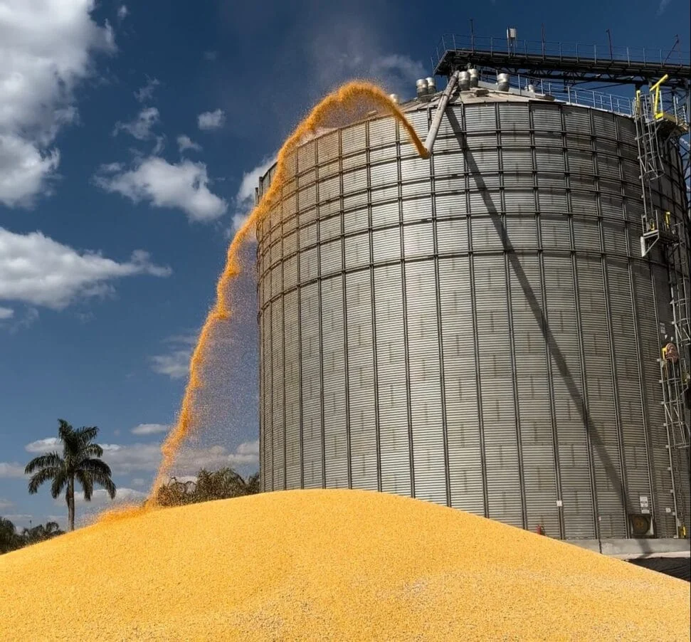 Produção de grãos terá crescimento recorde de 8,3%, prevê Conab