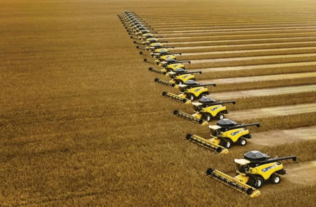 Municípios Mais Produtivos do Brasil Contribuem com Quase um Terço da Produção Agrícola Nacional