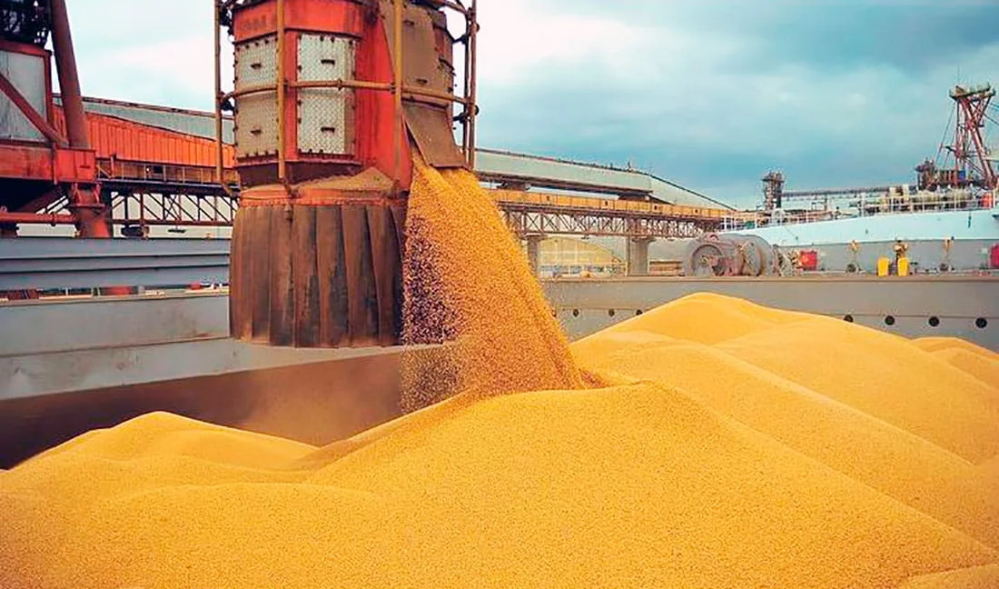 Exportação do milho de Mato Grosso atinge 2º maior volume em mais de duas décadas