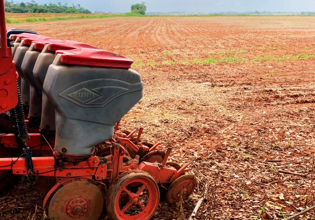 Safra 2024/25: Plantio Quase Concluído e Expectativa para a Colheita