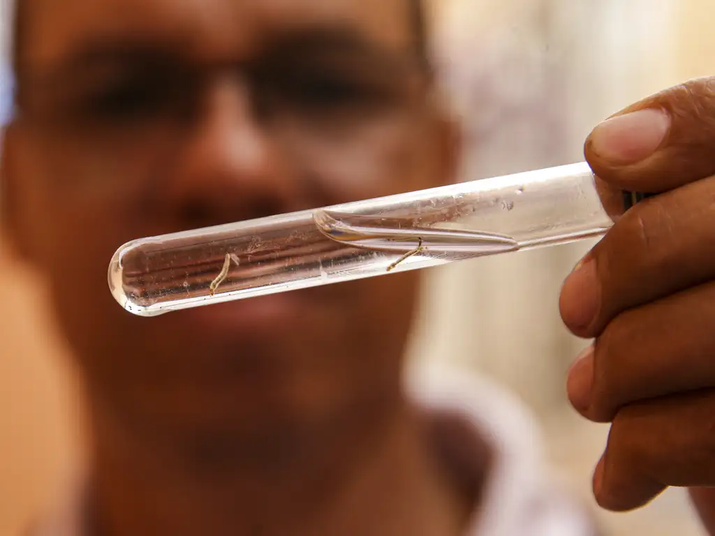 SES alerta a população para combater o Aedes aegypti no período de chuvas