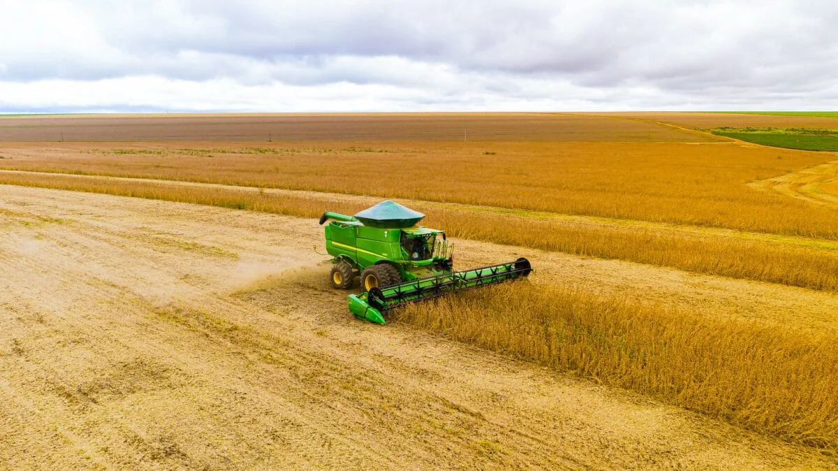 Produção Agrícola Brasileira em 2023: R$ 814,5 Bilhões e o Protagonismo de Mato Grosso