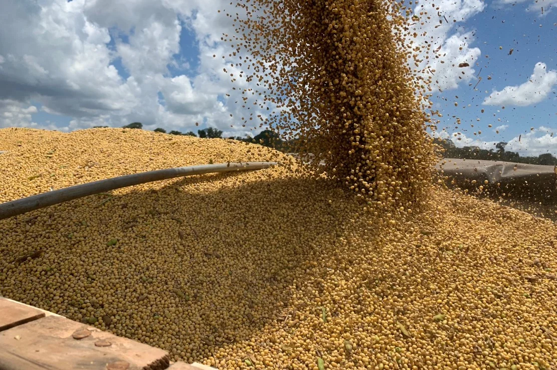 Cotação da soja em Mato Grosso cai mais de 4% no ano, aponta IMEA
