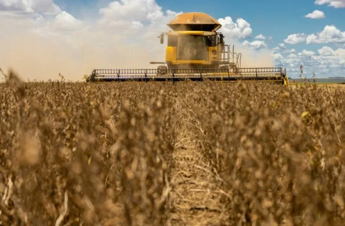 Mato Grosso deve registrar 2º maior PIB do país com destaque para agropecuária