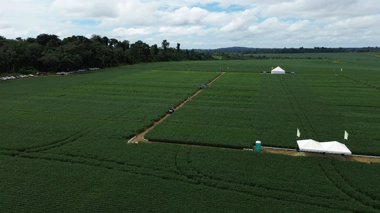 Fundação MT Impulsiona Pesquisa Agronômica no Norte de Mato Grosso com Estudo Inovador de Cultivares de Soja