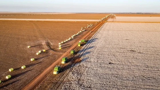 Amaggi se destaca entre as gigantes do agronegócio brasileiro