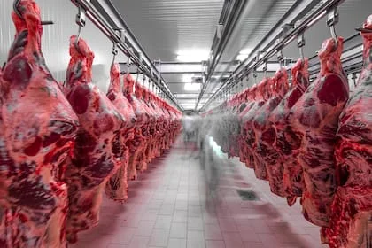 Exportação de Carne Brasileira Sofre Restrição Temporária na China