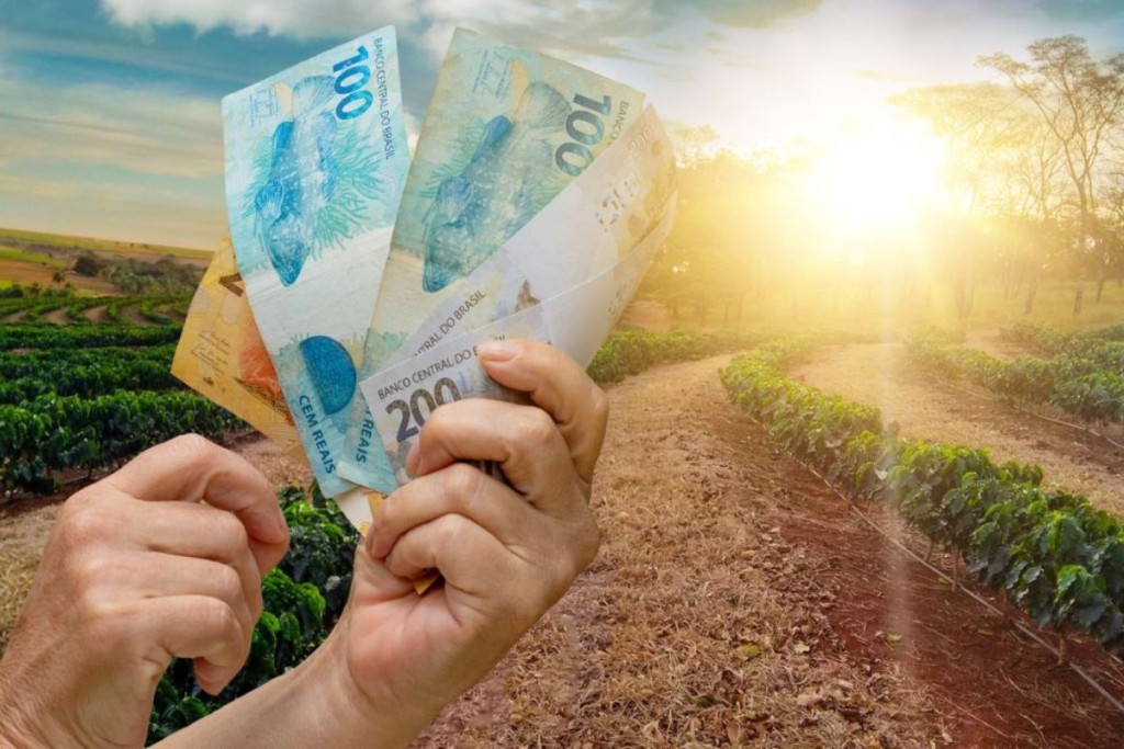 FMI revisa pra cima o crescimento do Brasil, mas frete e insumos ainda pressionam o agro
