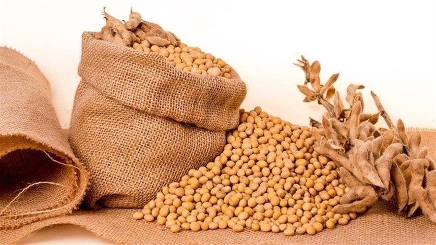 Mercados agrícolas abrem semana com sinais distintos