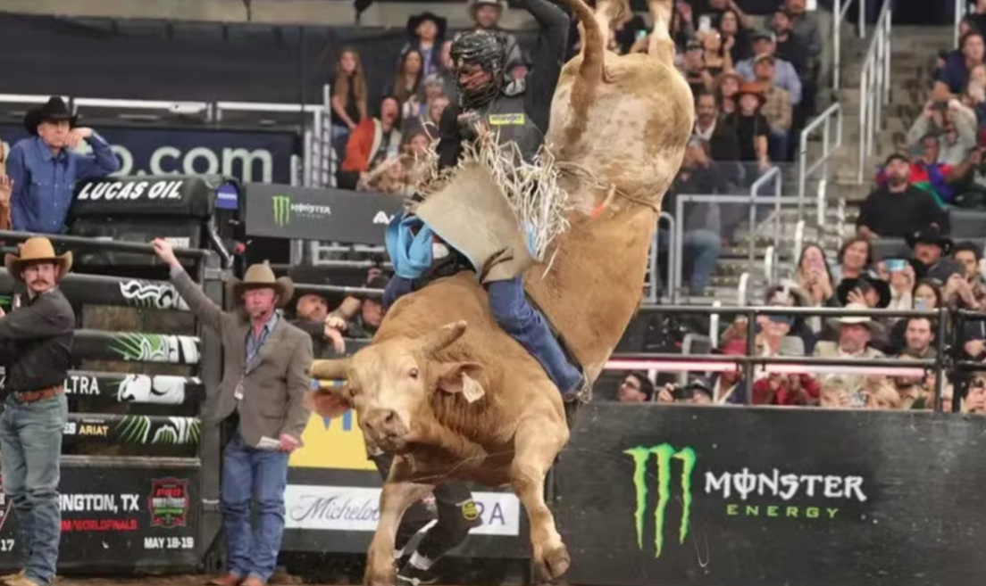 Grand Rodeo e shows nacionais do GAFFFF Sorriso serão gratuitos