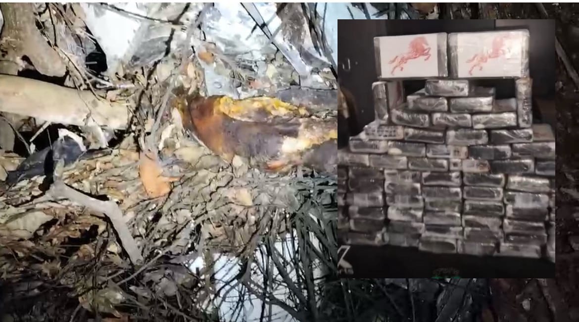 Avião com cocaína e dois corpos em decomposição pode ter caído há cerca de 60 dias em zona rural de MT