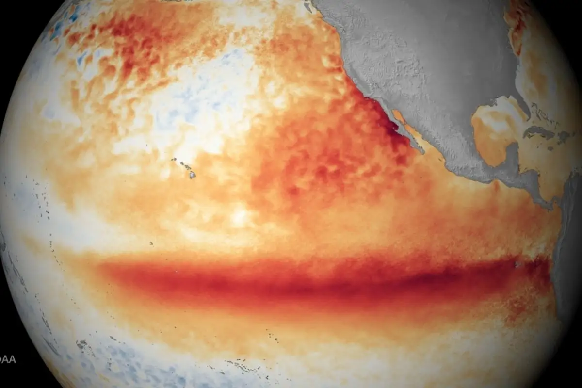 Super El Niño pode ser o mais forte da história; veja quando os efeitos podem chegar ao Brasil