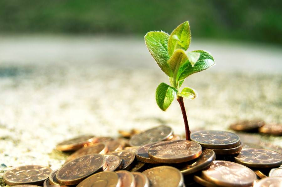 Brasil deixa passar oportunidade estratégica na economia climática global