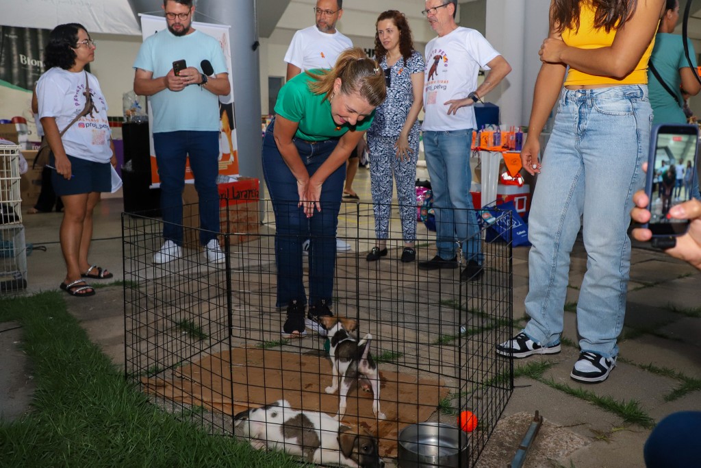 Várzea Grande avança na política de proteção animal e prepara programa permanente de castração e microchipagem