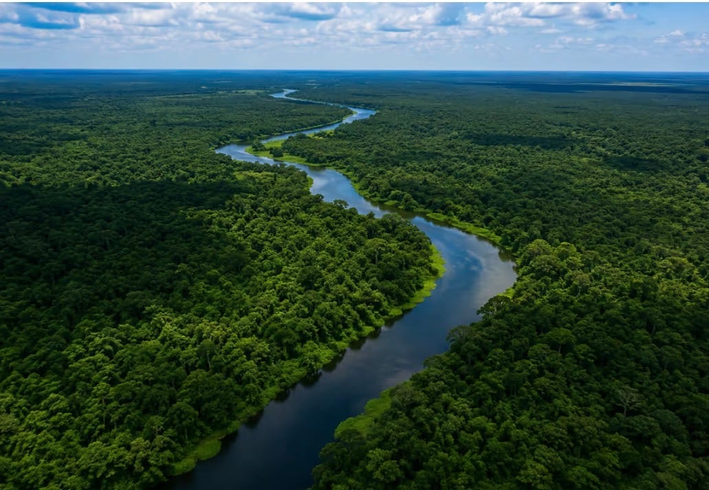 Mato Grosso lidera transparência ambiental na Amazônia Legal e reforça segurança para investimentos e produção sustentável