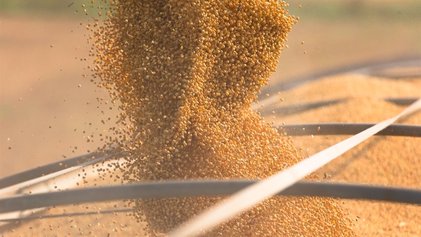 Mercados agrícolas abrem semana em alta