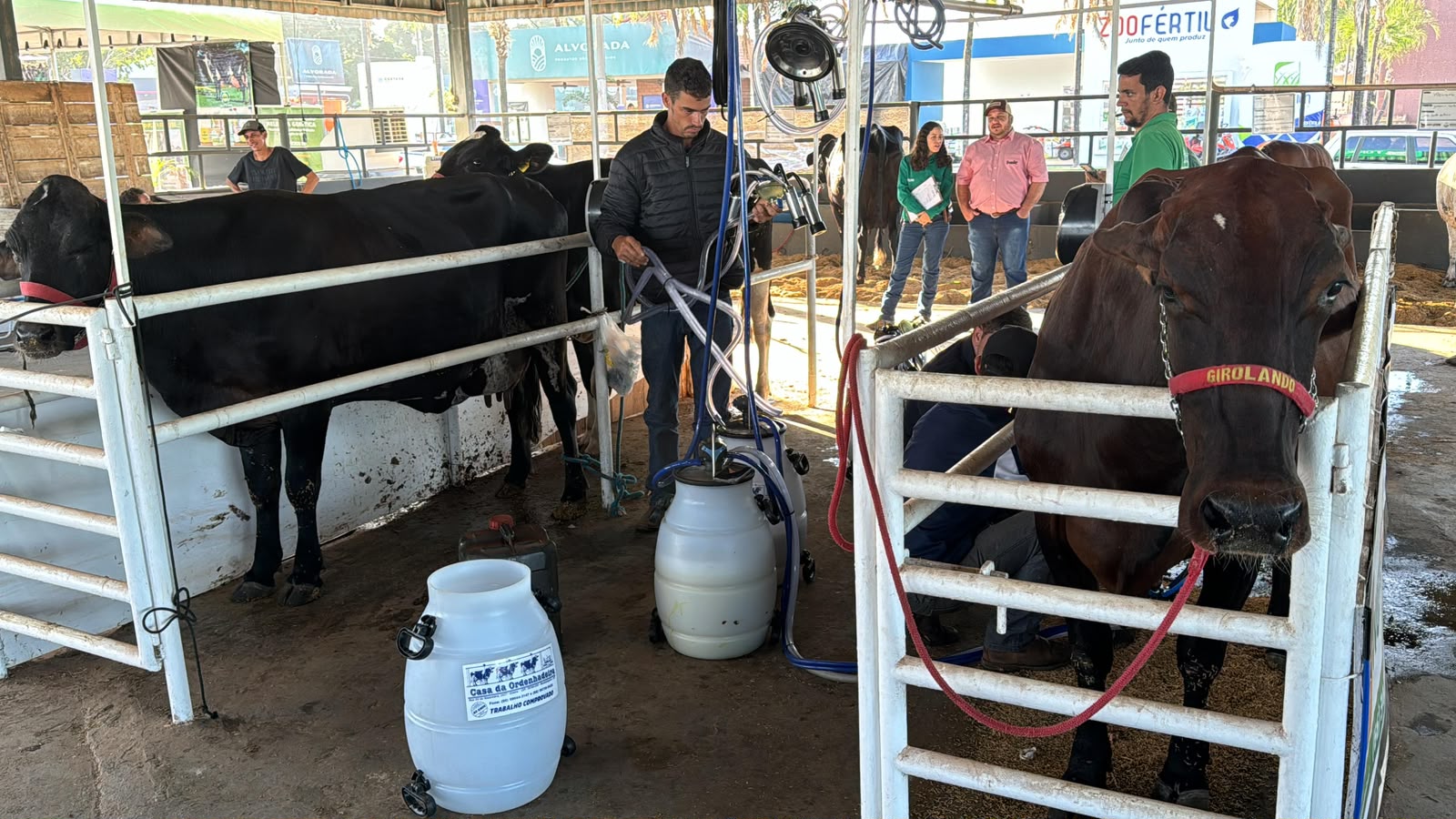 Torneio Leiteiro em Rondonópolis fecha inscrições nesta segunda-feira