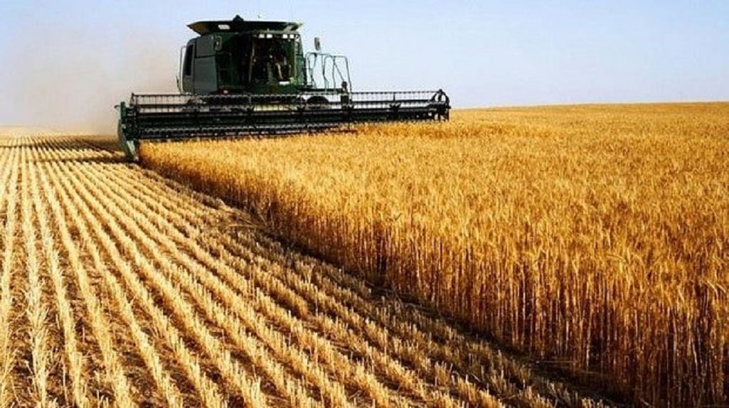 Tarifaço dos EUA pode elevar custos do agro brasileiro, mesmo para produtos isentos