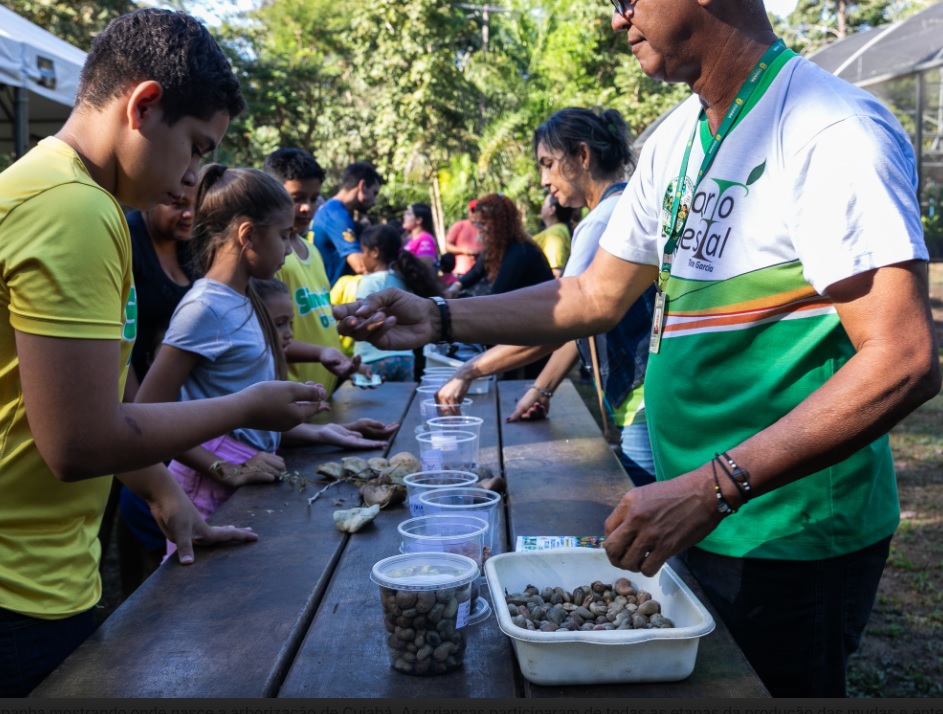 Campanha encerra com produção de mil mudas para arborizar Cuiabá