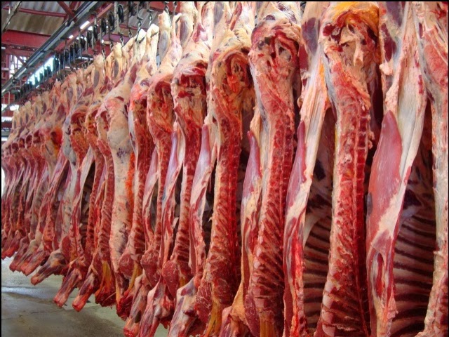 Exportações de carne bovina atingem recorde, mas Mato Grosso enfrenta barreiras comerciais