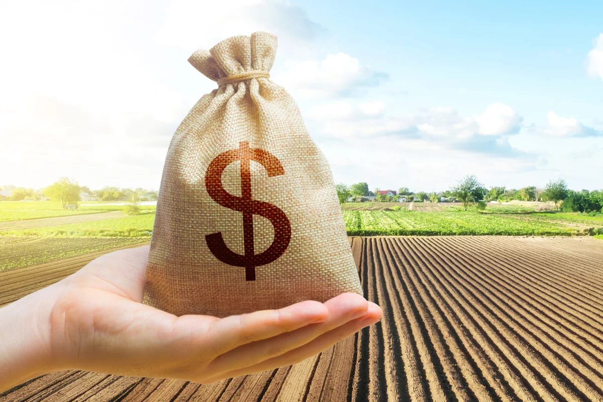 Governo autoriza crédito rural com juros reduzidos para safra 2026/27