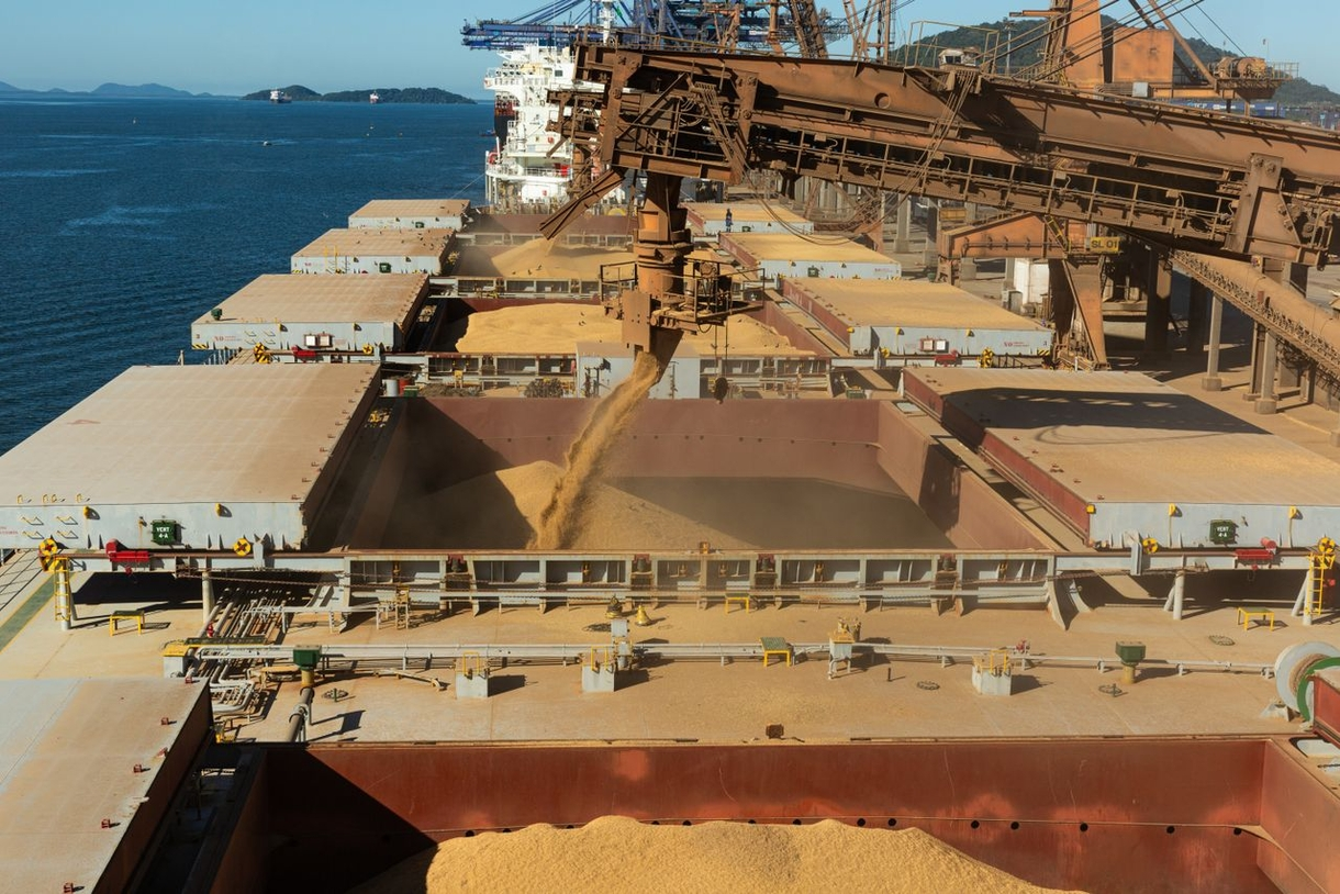 Controles fitossanitários reduzem notificações em exportações de grãos