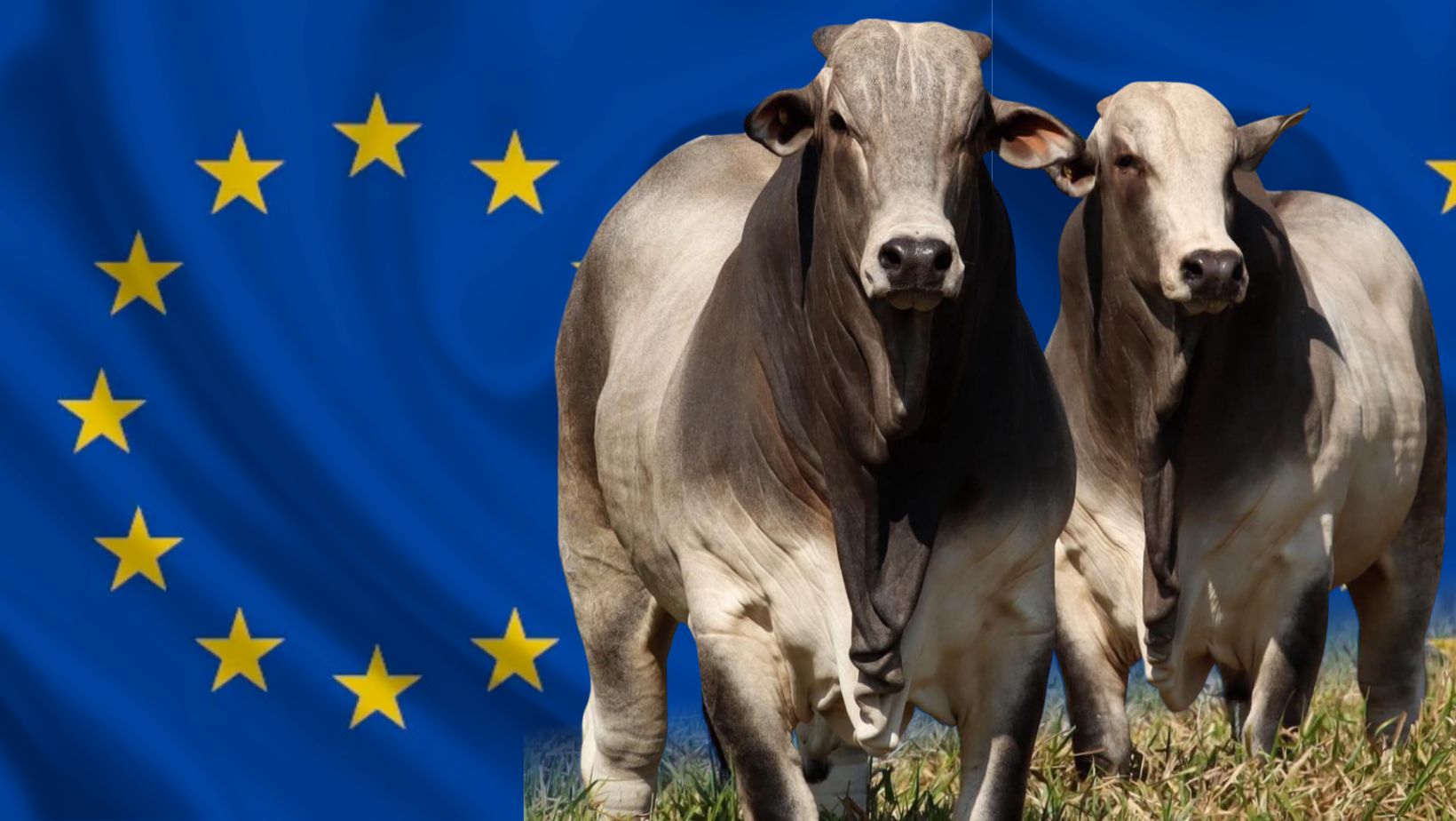 Brasil avança em negociações com UE para expandir exportações agrícolas