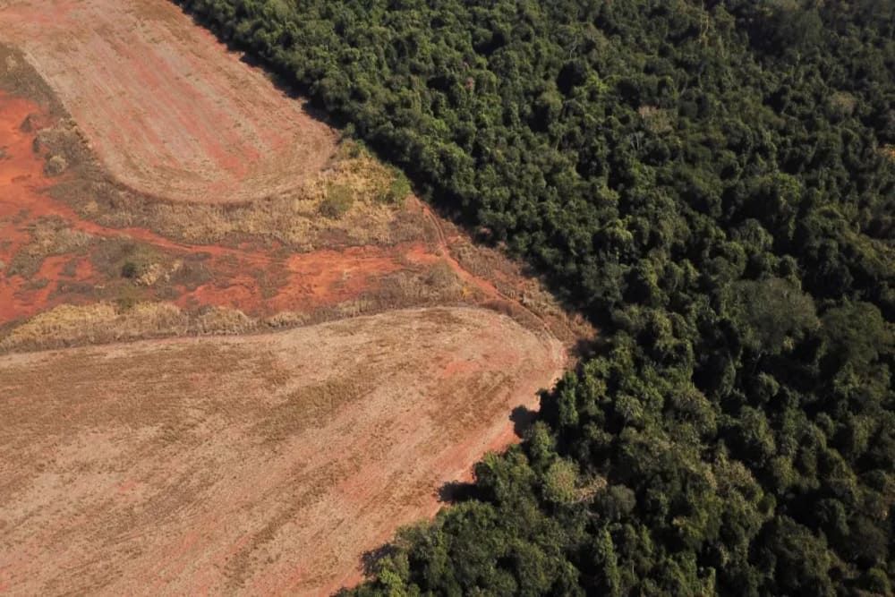 Amazônia registra menor desmatamento em primeiro semestre em oito anos