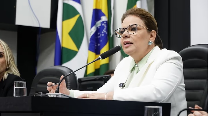 Paula Calil é contra fim de recesso de julho na Câmara: “período de organização”