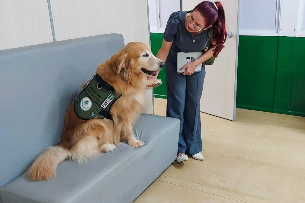 Alunos do Centro João Ribeiro poderão ter atividades de recreação com cães de terapia