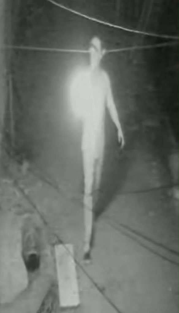 NORTÃO MT: PC esclarece homicídio em menos de 24 horas e localiza suspeito a 100 km do crime