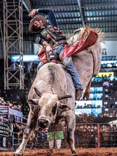 "Mato Grosso Agrofestival" coloca Cuiabá no circuito internacional dos grandes festivais culturais e de agronegócio
