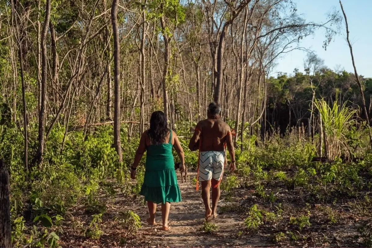Indígenas cultivam florestas para enfrentar mudanças climáticas em MT